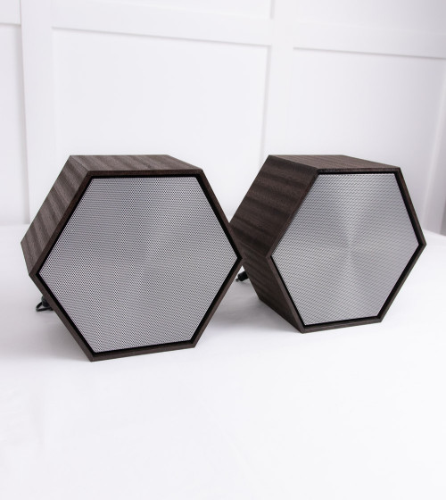 Enceintes HiFi 2080 TELEFUNKEN