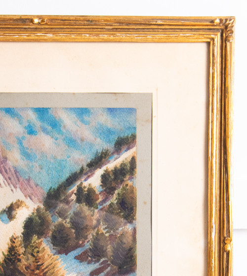 Cadre vallée avec sapins