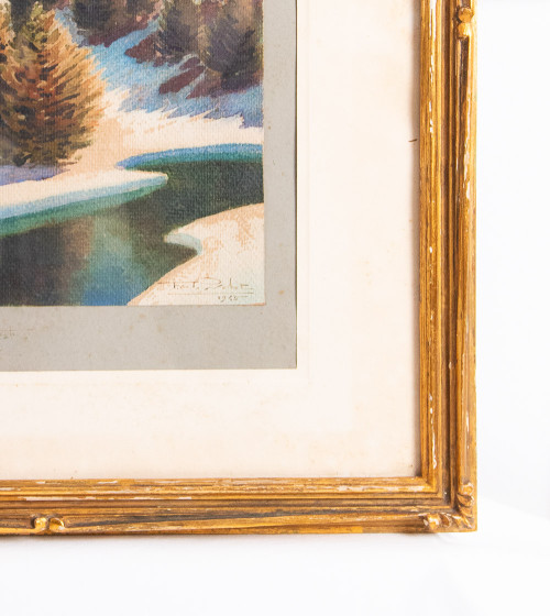 Cadre vallée avec sapins