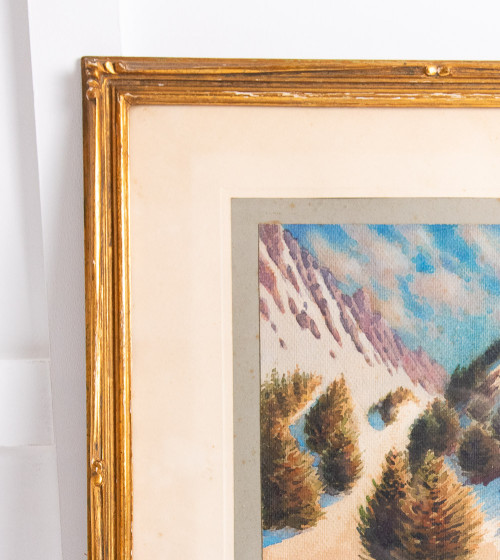 Cadre vallée avec sapins